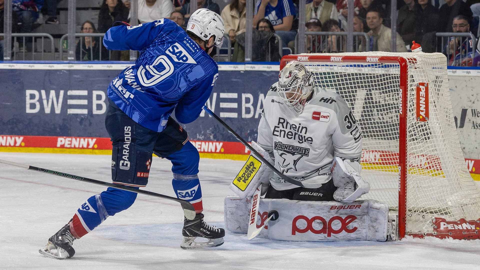 Adler Mannheim gg. Kölner Haie